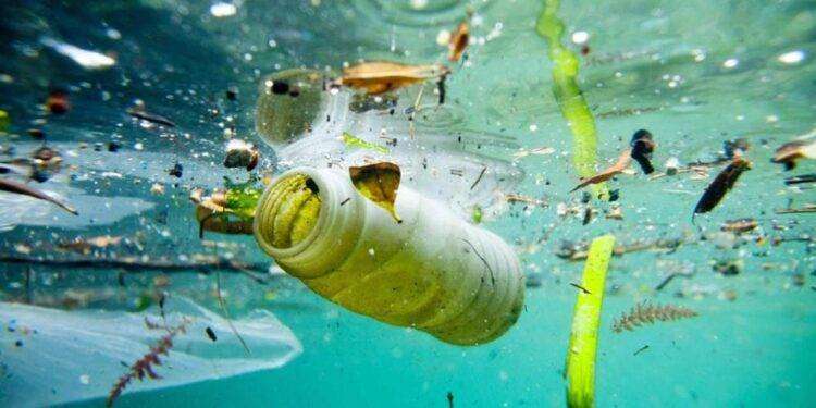 “Guardate il lungomare Sant’Elia in che condizioni schifose si trova”