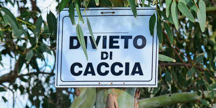 Flumini, nuovo divieto di caccia disposto dal Sindaco di Quartu