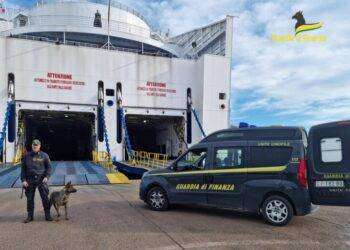 Venti ovuli di cocaina nello stomaco, arrestato a Olbia