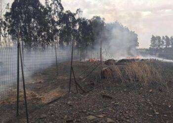 Incendiario seriale arrestato dalla Forestale a Samassi