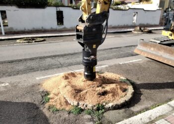 Cagliari, Quartiere Europeo: ripristino dell’alberata di palme di via Vienna