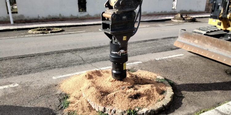 Cagliari, Quartiere Europeo: ripristino dell’alberata di palme di via Vienna