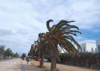 Maestrale a 130 km/h, disagi nei collegamenti marittimi