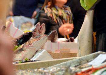 Cagliari, concessione locale bar nel Mercato Ittico: domande entro le 12 del 29 dicembre 2023