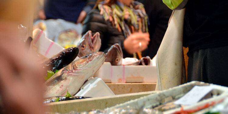 Cagliari, concessione locale bar nel Mercato Ittico: domande entro le 12 del 29 dicembre 2023