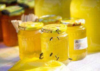 ‘Stop al miele artificiale, non salva le api e inquina il mercato’