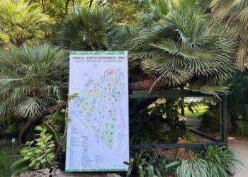 Natale, un presepe floreale all’Orto Botanico di Cagliari