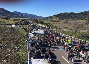 Proteste per il latte su statale, assolti 9 pastori a Nuoro
