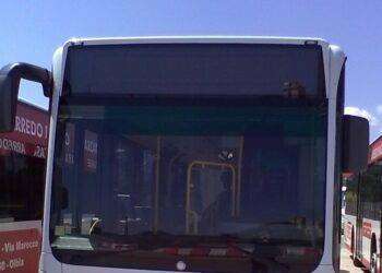 Zucchero e Salmo a Olbia, navette gratis per concerto Capodanno