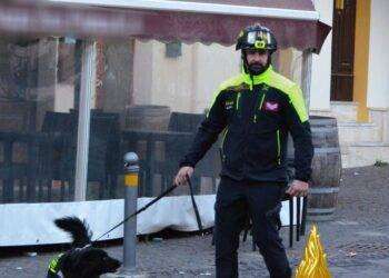 Si perde in campagna, anziano ritrovato grazie a fiuto cani