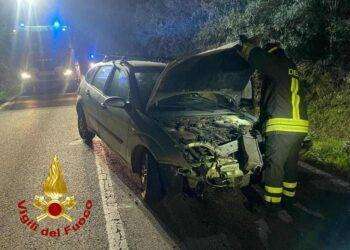 Finisce con l’auto contro un albero, un ferito grave in Gallura