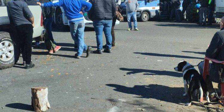 Protesta trattori, ad oltranza presidio al porto di Cagliari