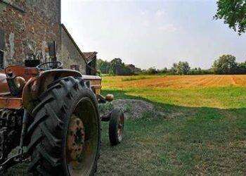 Distretto rurale della Sardegna centro occidentale. Il nuovo soggetto territoriale più grande della Sardegna sarà presentato il 13 gennaio a Cabras