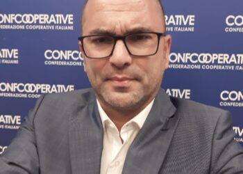 Confcooperative Provinciale Cagliari: Fabio Onnis eletto presidente per il quadriennio 2024-2028