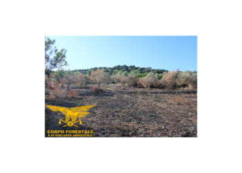  Mogoro: avviso di garanzia al presunto responsabile dell’incendio di Trioi