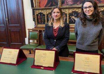 Mercatini tradizionali a Cagliari, vince casetta magica di Elfé