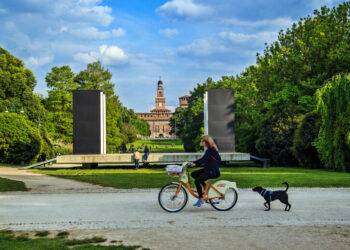 Milano la città più pet friendly, segue Roma al secondo posto
