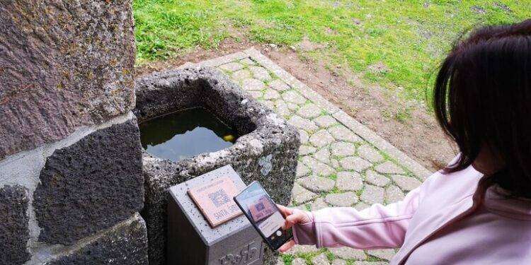 Natura e tecnologia, accesso digitale a conoscenza del Romanico