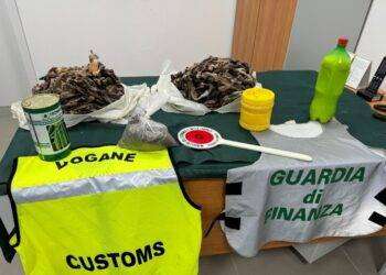 Sequestrati 12 kg di alimenti sospetti all’aeroporto di Alghero