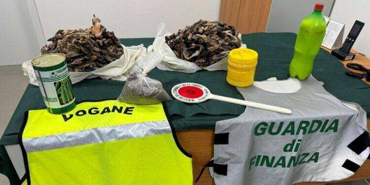 Sequestrati 12 kg di alimenti sospetti all’aeroporto di Alghero