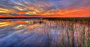 Giornata mondiale delle zone umide, eventi in Sardegna