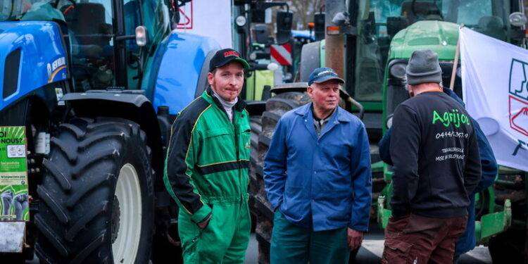 Gli agricoltori belgi verso blocco del porto di Zeebrugge