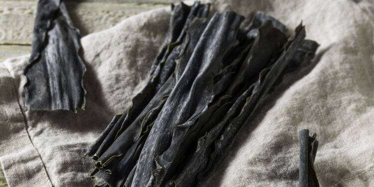 Alghe Kombu disidratate richiamate per iodio oltre i limiti di legge