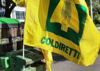 Coldiretti, ‘agricoltura sarda sfinita dal sesto refresh’