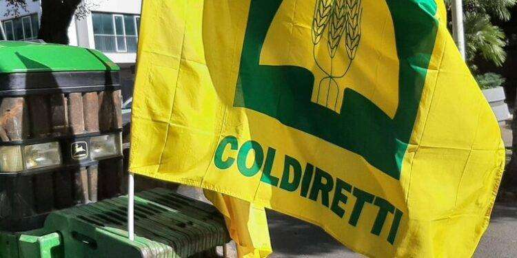 Coldiretti, ‘agricoltura sarda sfinita dal sesto refresh’