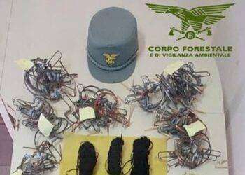 Operazione antibracconaggio nel Cagliaritano, scattano 2 denunce