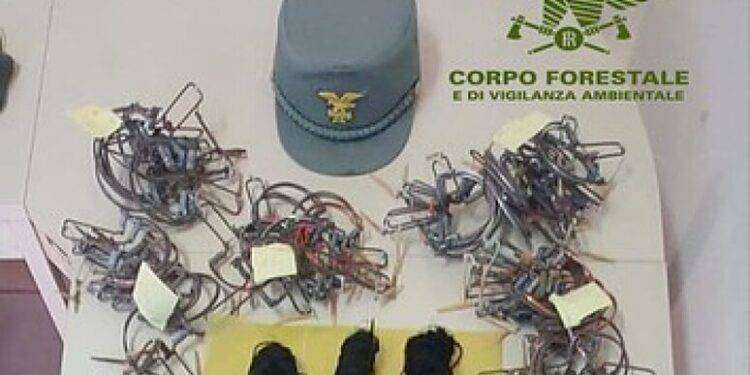Operazione antibracconaggio nel Cagliaritano, scattano 2 denunce