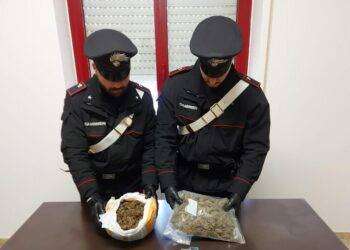 Nel canile oltre 1 chilo di marijuana, arrestato a Galtellì