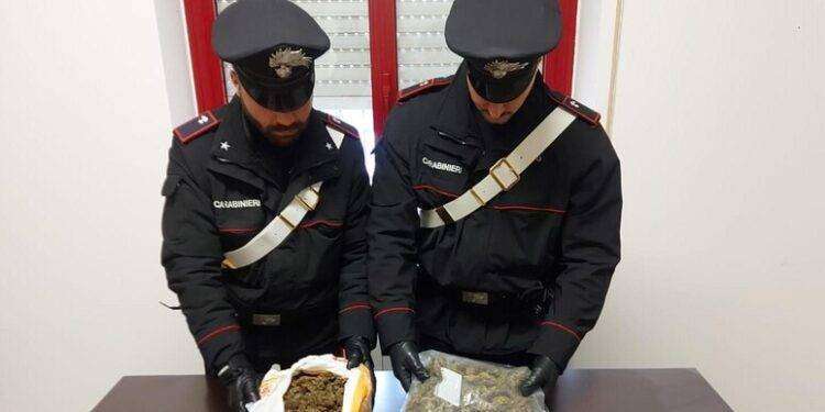 Nel canile oltre 1 chilo di marijuana, arrestato a Galtellì