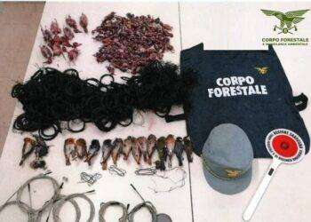 Forestali denunciano 3 persone per caccia in oasi protetta