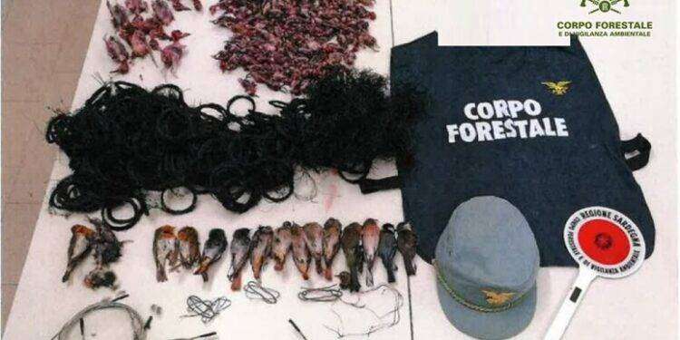 Forestali denunciano 3 persone per caccia in oasi protetta