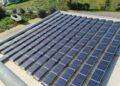 Allarme ambientalisti del Grig per fotovoltaico a Martis