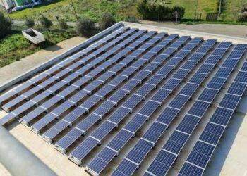 Allarme ambientalisti del Grig per fotovoltaico a Martis