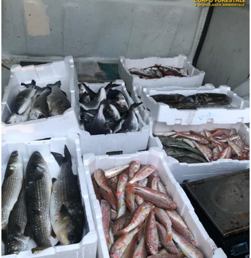 Vendeva pesce non fresco: maxi multa da 1.500 euro a Sant’Antioco