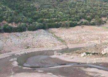 Siccità, Coldiretti chiede lo stato di calamità