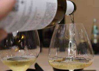 Il Vermentino di Gallura tra i vini con valore più alto nel 2023