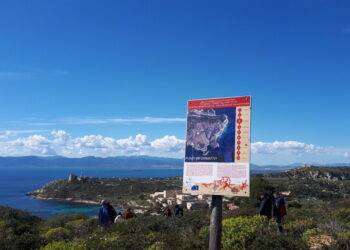 Wwf a candidati Regione, piano per ambiente in prossimi 5 anni