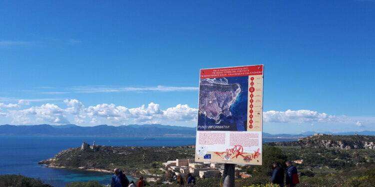 Wwf a candidati Regione, piano per ambiente in prossimi 5 anni