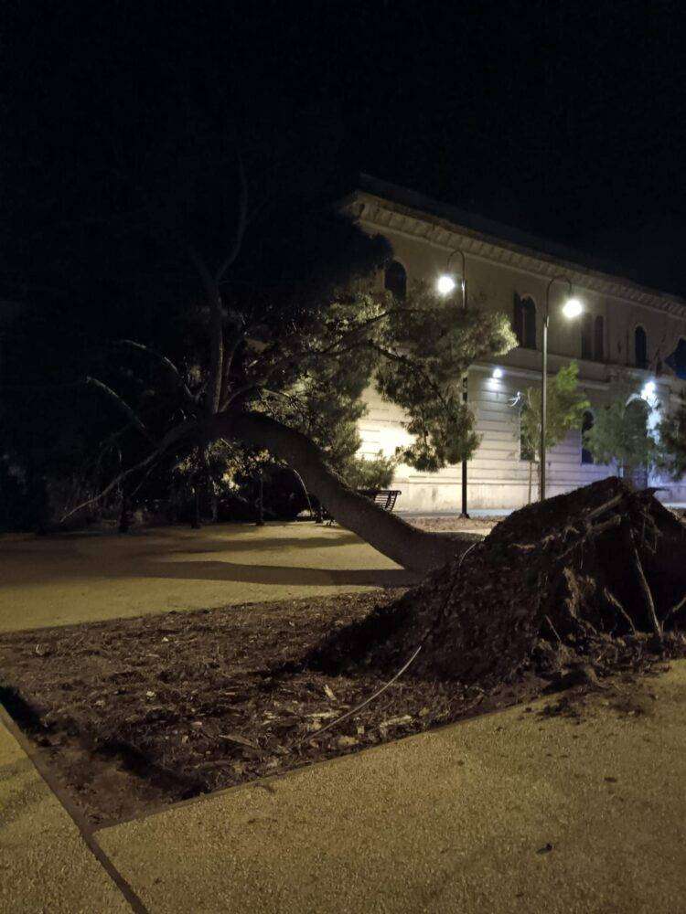 Cagliari, meno di due mesi fa l’inaugurazione: crolla albero a Buoncammino