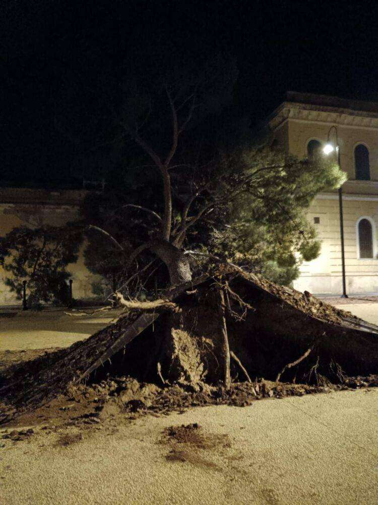 Cagliari, meno di due mesi fa l’inaugurazione: crolla albero a Buoncammino