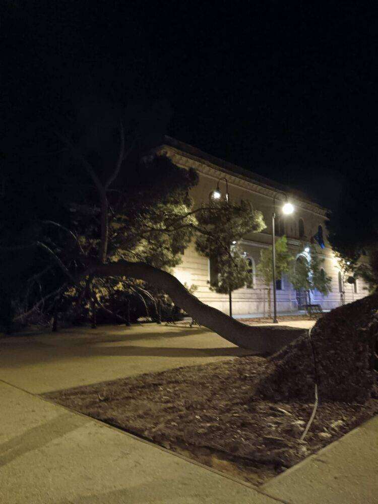 Cagliari, meno di due mesi fa l’inaugurazione: crolla albero a Buoncammino