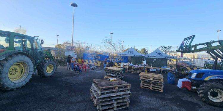 Trattori in porto a Cagliari contro l’Ue: “Senza incontro al ministero, altri 10 giorni di presidio”