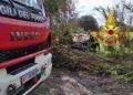 Incidente fra Donigala Fenughedu e Nuraxinieddu: auto si ribalta