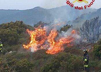 Vasto incendio tra tra Aggius e Bortigiadas: in azione l’elicottero