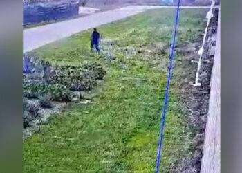 Arrestato boss Raduano evaso un anno fa da carcere Nuoro