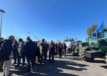 Protesta trattori a Cagliari, ‘pronti a marciare su Roma’